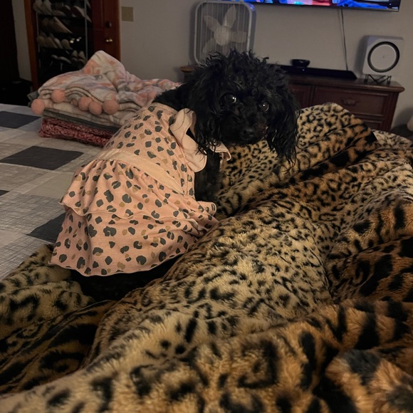 Meet your Posher, Amanda - Picture 15 of 16